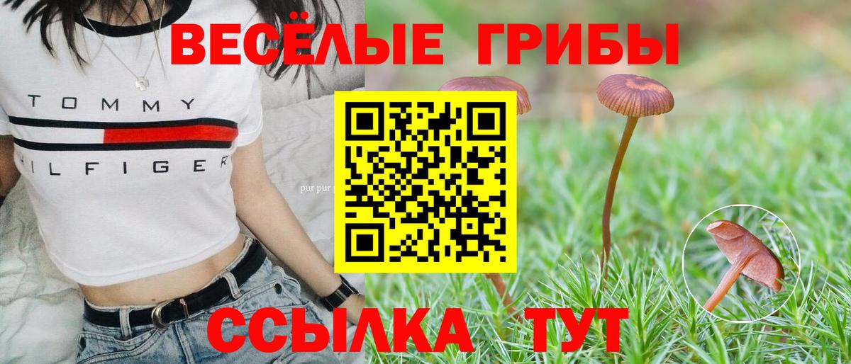 Галлюциногенные грибы прущие грибы  Вход с VPN  наркота  Хабаровск 